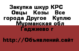 Закупка шкур КРС , Овцы , Козы - Все города Другое » Куплю   . Мурманская обл.,Гаджиево г.